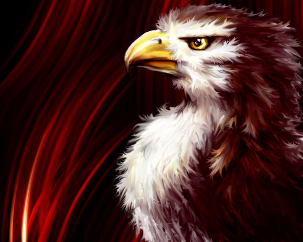 For The "Sufi"sticated...The Red Falcon...Rise Above The Human Condition - Lal (Red) Shahbaz (Falcon) Qalandar (Free of Boundaries, Risen above Human Condition"